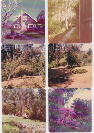 Childhood home - house and garden 1