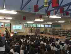 Rose Bay Public School photo