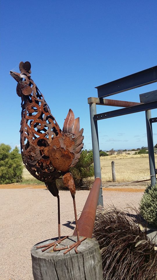 16195883_1567052003309002_8433162591634573485_n