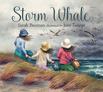 Storm Whale cover