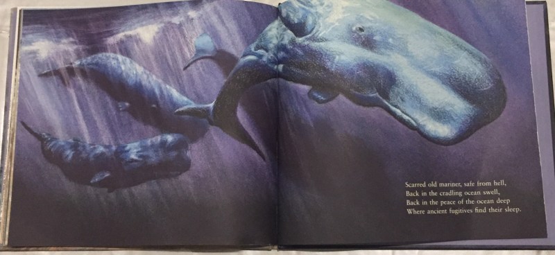 Illustration from Jane Tanner's Storm Whale