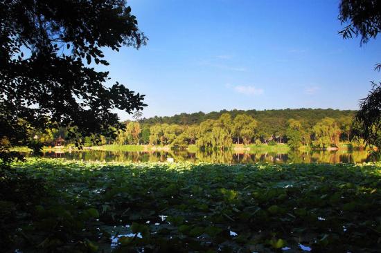 配图2(1)_爱奇艺