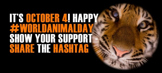 1200x549_631194546_main_banner_04